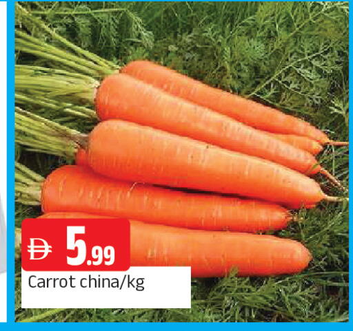Carrot from China available at المدينة in الإمارات العربية المتحدة , الامارات - الشارقة / عجمان