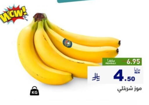 available at أسواق رامز in مملكة العربية السعودية, السعودية, سعودية - الأحساء‎