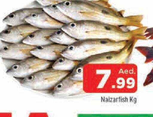 available at المدينة in الإمارات العربية المتحدة , الامارات - الشارقة / عجمان