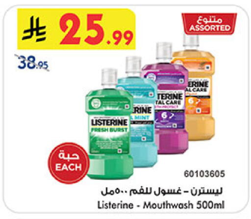 Mint available at بن داود in مملكة العربية السعودية, السعودية, سعودية - مكة المكرمة