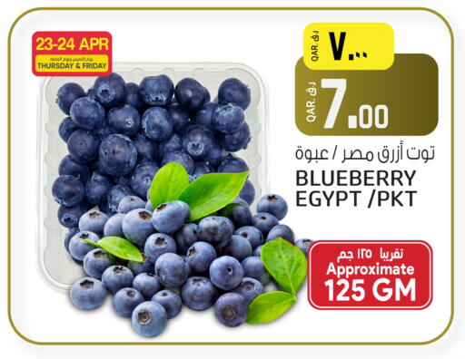 Blueberry BlueBerry from Egypt available at السعودية in قطر - أم صلال
