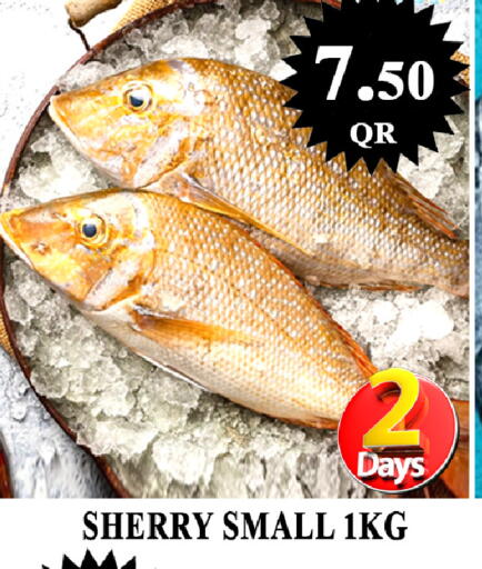 available at Passion Hypermarket in Qatar - Al-Shahaniya