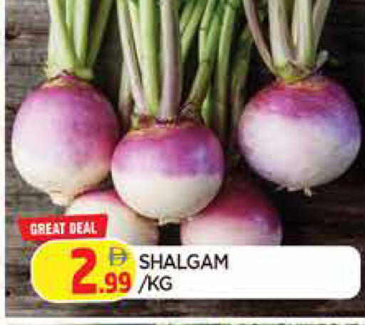 available at المدينة in الإمارات العربية المتحدة , الامارات - الشارقة / عجمان