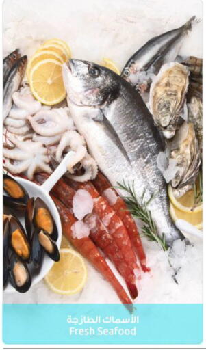 available at The Sultan Center in Kuwait - Ahmadi Governorate