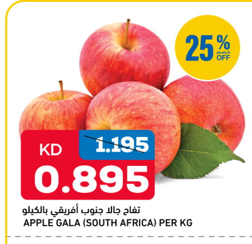 Apple from South Africa available at Oncost in Kuwait - Jahra Governorate
