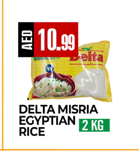 available at ريفييرا سوبرماركت in الإمارات العربية المتحدة , الامارات - أبو ظبي