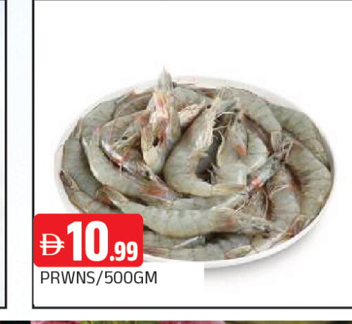 available at المدينة in الإمارات العربية المتحدة , الامارات - الشارقة / عجمان