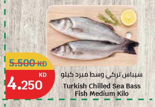 available at City Hypermarket in Kuwait - Jahra Governorate