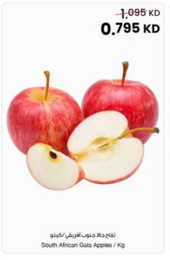 from South Africa available at مركز سلطان in الكويت - محافظة الجهراء