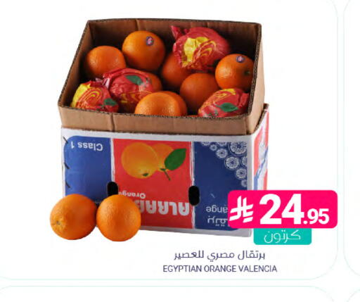Orange from Egypt available at Muntazah Markets in KSA, Saudi Arabia, Saudi - Dammam