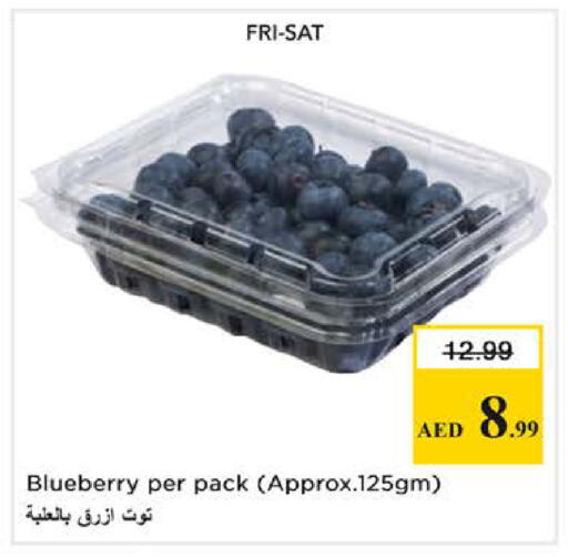 Blueberry BlueBerry available at نستو هايبرماركت in الإمارات العربية المتحدة , الامارات - دبي