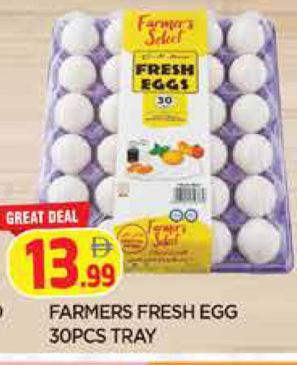 available at المدينة in الإمارات العربية المتحدة , الامارات - الشارقة / عجمان