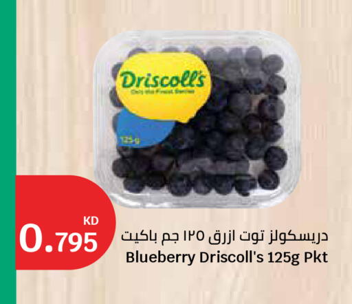Blueberry BlueBerry available at سيتي هايبرماركت in الكويت - محافظة الأحمدي