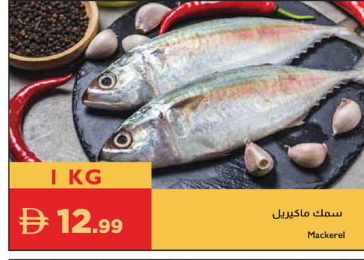 available at إسطنبول سوبرماركت in الإمارات العربية المتحدة , الامارات - دبي
