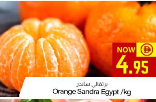 Orange from Egypt available at ميم ساجدة in الإمارات العربية المتحدة , الامارات - ٱلْفُجَيْرَة‎