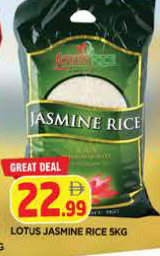 available at المدينة in الإمارات العربية المتحدة , الامارات - الشارقة / عجمان