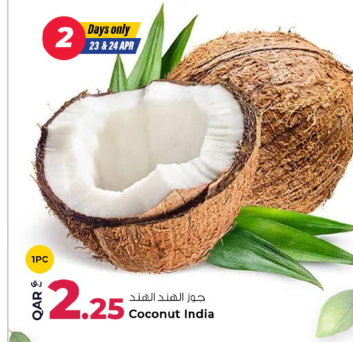 Coconut from India available at روابي هايبرماركت in قطر - الوكرة