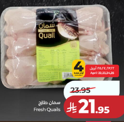 available at لولو هايبرماركت in مملكة العربية السعودية, السعودية, سعودية - مكة المكرمة