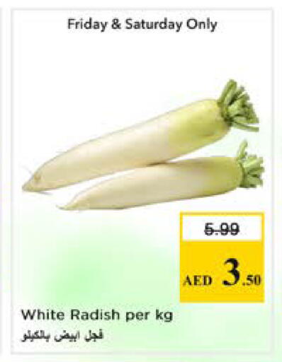 Radish available at نستو هايبرماركت in الإمارات العربية المتحدة , الامارات - دبي