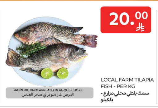 available at كارفور in مملكة العربية السعودية, السعودية, سعودية - المنطقة الشرقية