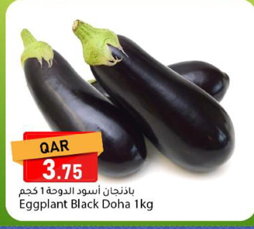 Eggplant from Qatar available at Dana Market in Qatar - Al Rayyan