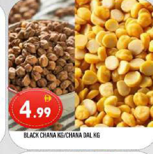 available at المدينة in الإمارات العربية المتحدة , الامارات - الشارقة / عجمان