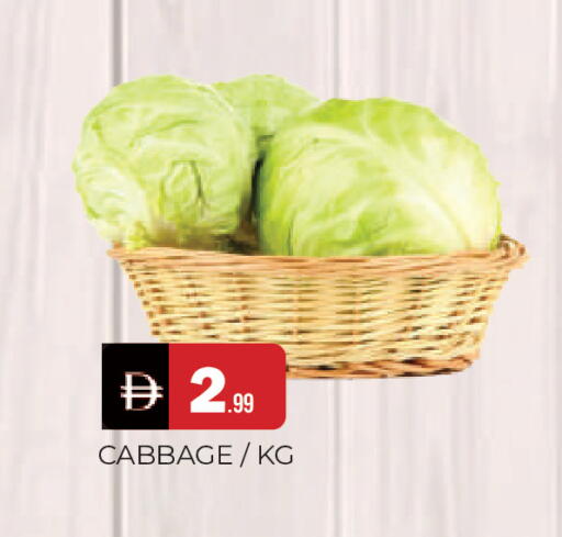 Cabbage available at المدينة in الإمارات العربية المتحدة , الامارات - الشارقة / عجمان