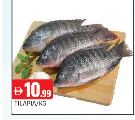 available at المدينة in الإمارات العربية المتحدة , الامارات - الشارقة / عجمان