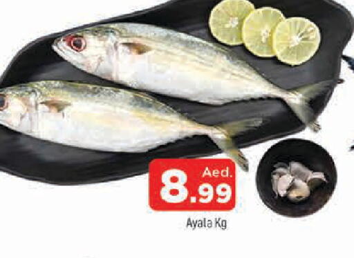 available at المدينة in الإمارات العربية المتحدة , الامارات - الشارقة / عجمان