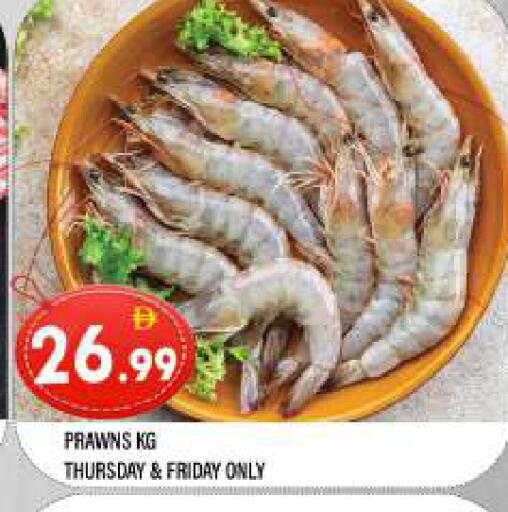 available at المدينة in الإمارات العربية المتحدة , الامارات - الشارقة / عجمان