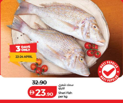 available at لولو هايبرماركت in الإمارات العربية المتحدة , الامارات - رَأْس ٱلْخَيْمَة