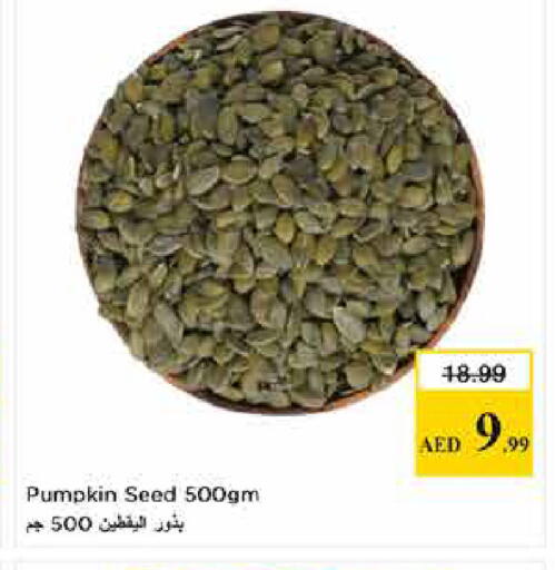 Pumpkin available at لاست تشانس in الإمارات العربية المتحدة , الامارات - ٱلْفُجَيْرَة‎