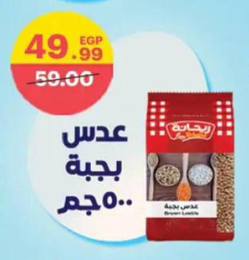 available at الحبيب ماركت in Egypt - القاهرة