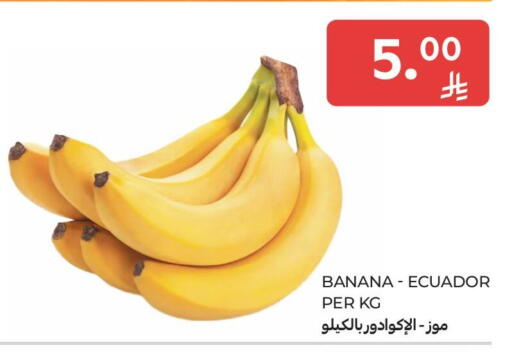 Banana from Ecuador available at كارفور ماركت in مملكة العربية السعودية, السعودية, سعودية - المنطقة الشرقية