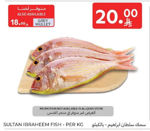 available at كارفور in مملكة العربية السعودية, السعودية, سعودية - المنطقة الشرقية