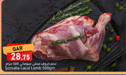 available at دانا ماركت in قطر - الوكرة