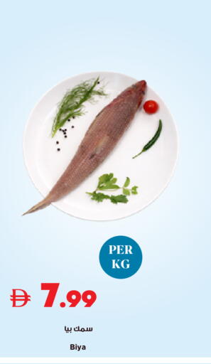 available at تروليز سوبرماركت in الإمارات العربية المتحدة , الامارات - دبي