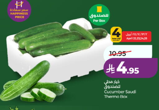 Cucumber from Saudi Arabia available at لولو هايبرماركت in مملكة العربية السعودية, السعودية, سعودية - مكة المكرمة