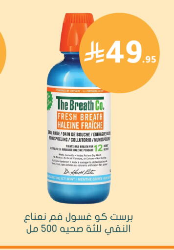 Mint available at  النهدي in مملكة العربية السعودية, السعودية, سعودية - الأحساء‎