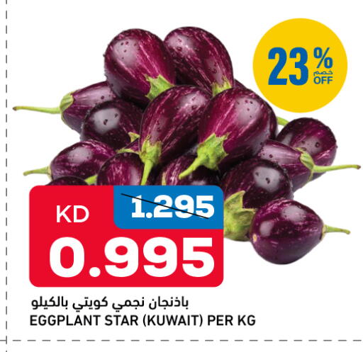 Eggplant from Kuwait available at Oncost in Kuwait - Jahra Governorate