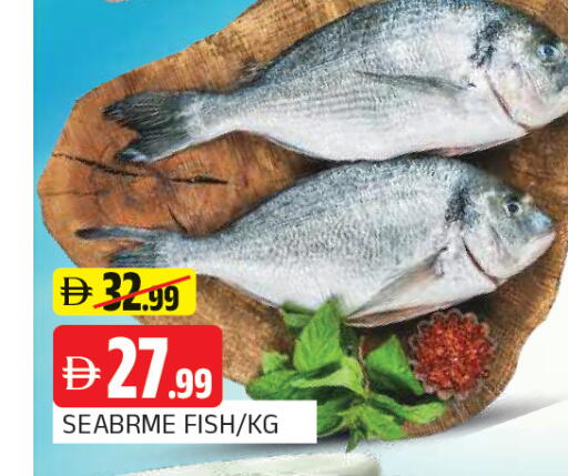 available at المدينة in الإمارات العربية المتحدة , الامارات - الشارقة / عجمان