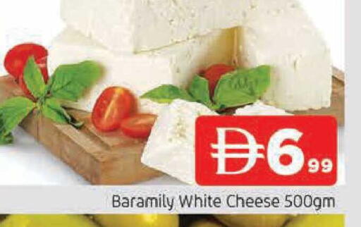 available at المدينة in الإمارات العربية المتحدة , الامارات - الشارقة / عجمان