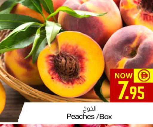 available at ميم ساجدة in الإمارات العربية المتحدة , الامارات - ٱلْفُجَيْرَة‎