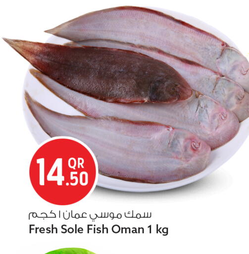 available at Safari Hypermarket in Qatar - Al Rayyan