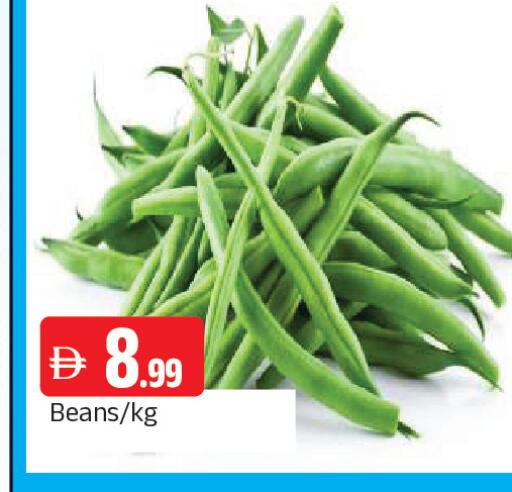 available at المدينة in الإمارات العربية المتحدة , الامارات - الشارقة / عجمان