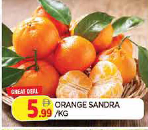 available at المدينة in الإمارات العربية المتحدة , الامارات - الشارقة / عجمان