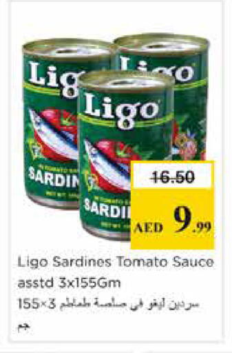 Tomato available at Nesto Hypermarket in UAE - Sharjah / Ajman