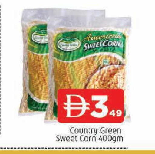 available at المدينة in الإمارات العربية المتحدة , الامارات - الشارقة / عجمان