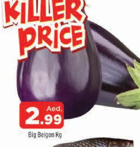 available at المدينة in الإمارات العربية المتحدة , الامارات - الشارقة / عجمان