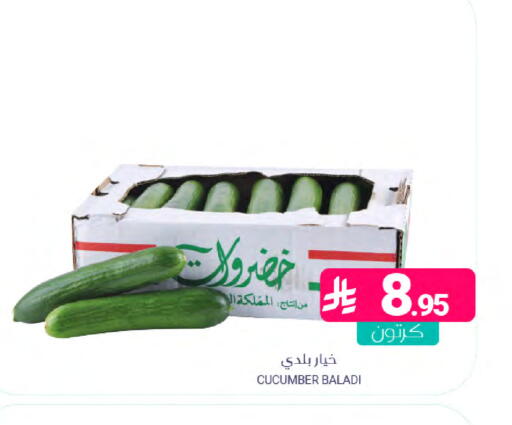 Cucumber available at اسواق المنتزه in مملكة العربية السعودية, السعودية, سعودية - المنطقة الشرقية